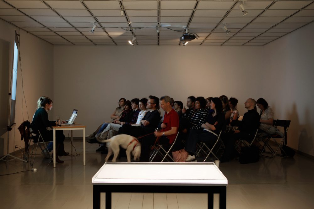 The Generic Stone, Installation view and lecture, Hordaland Art Centre.